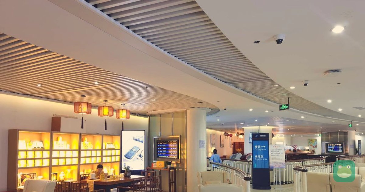 China Southern Gold/Silver/Elite Plus Lounge V3, SZX Terminal 3