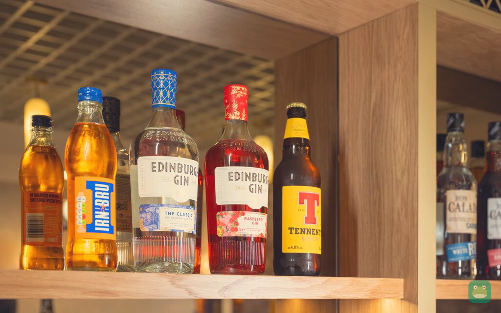 Bar, Escape Lounge, Edinburgh