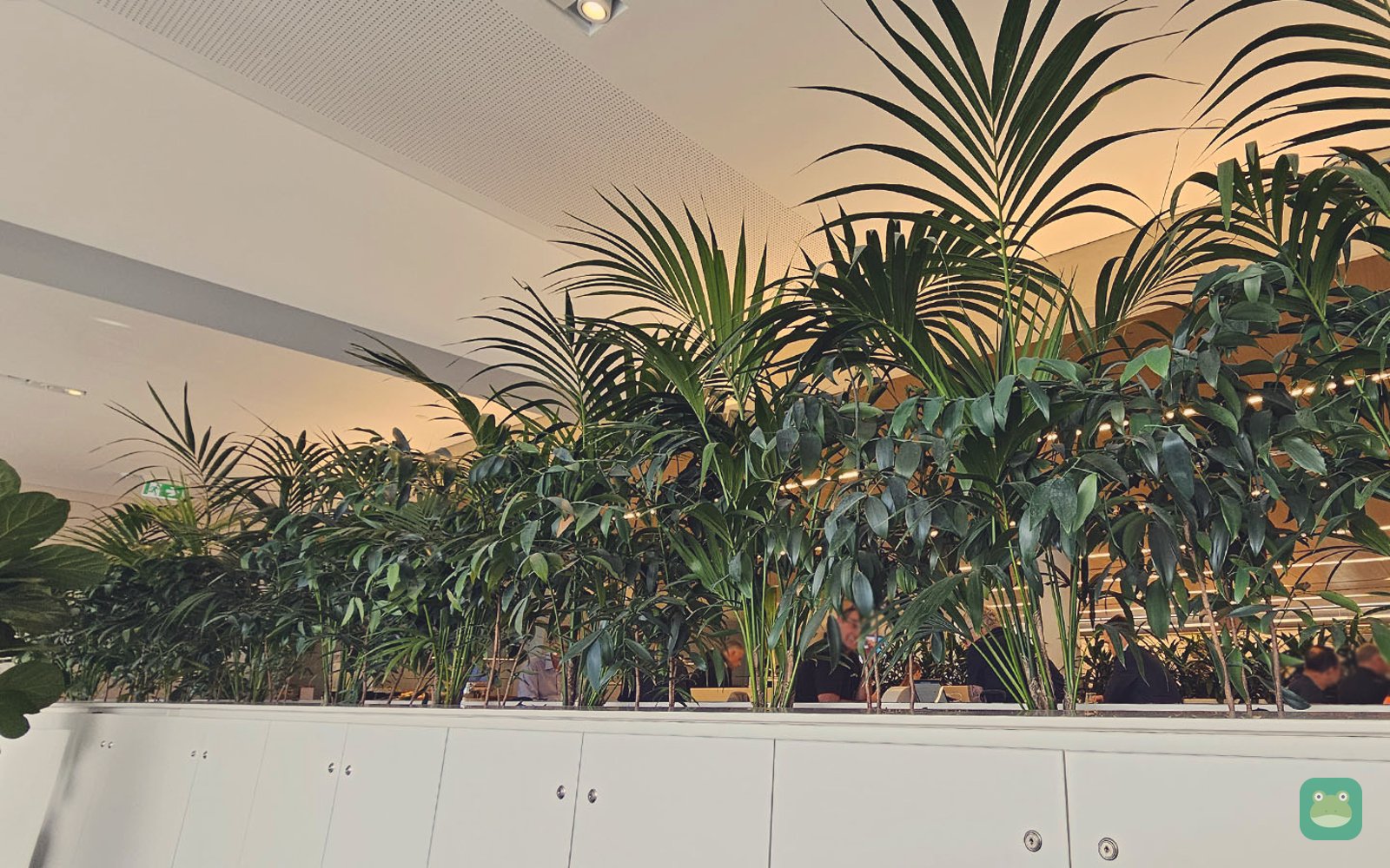 Seating zones, Qantas Club Adelaide