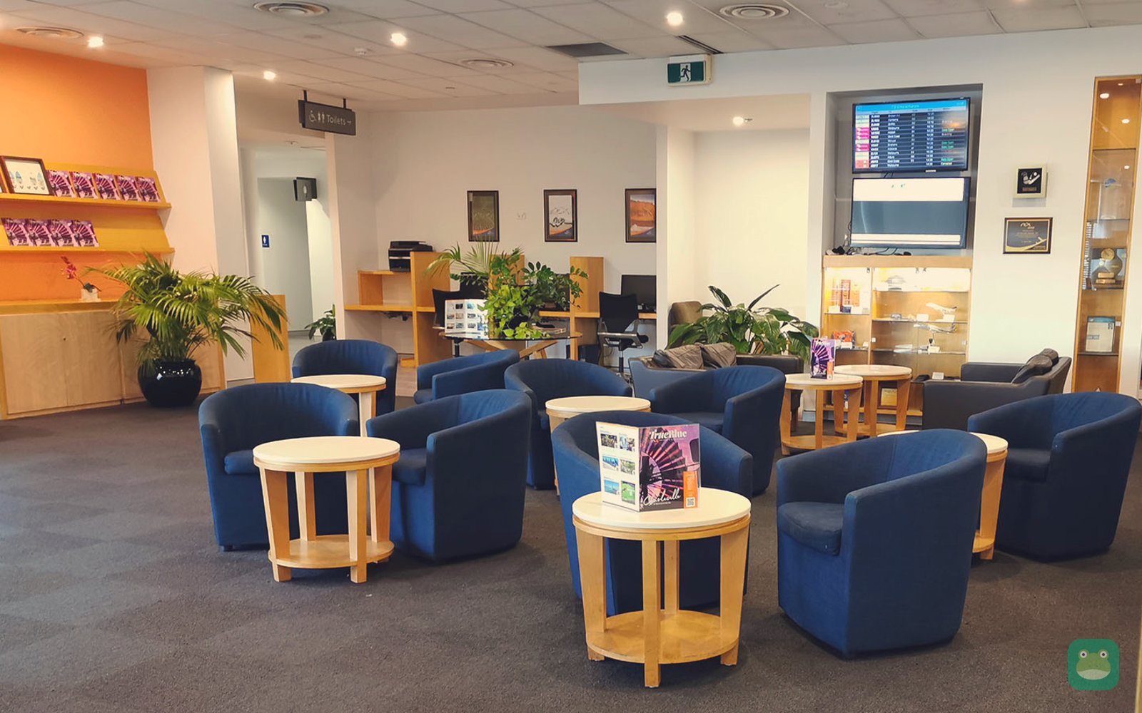 Rex Lounge, SYD Terminal 2 — tub-chair seating